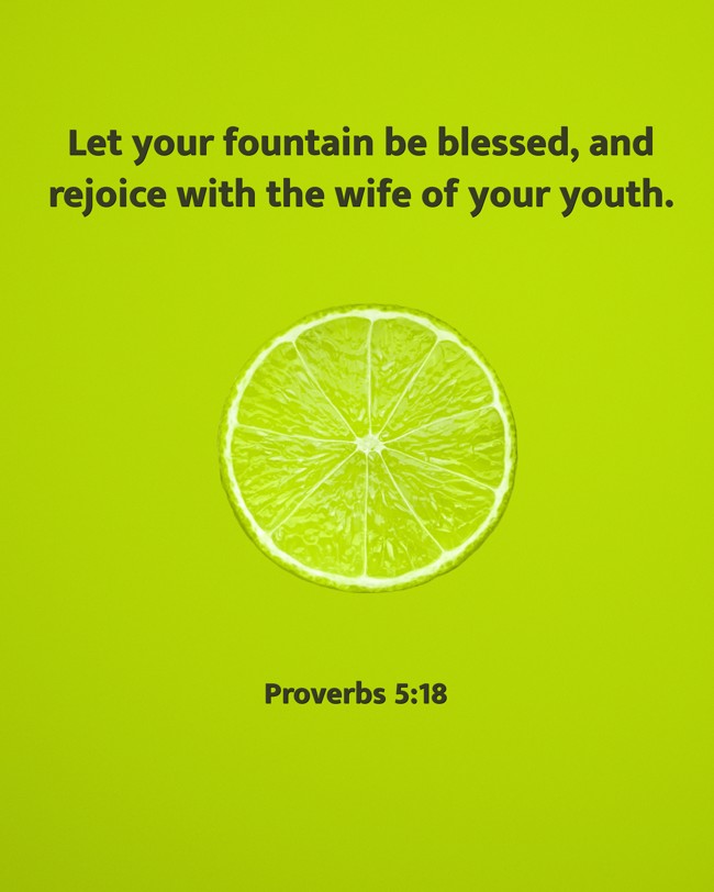 Let your fountain be blessed, and rejoice with the wife of your youth. - Proverbs 5:18