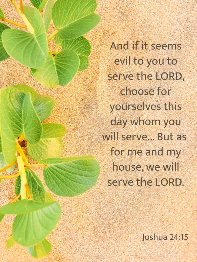 And if it seems evil to you to serve the LORD, choose for yourselves this day whom you will serve... But as for me and my house, we will serve the LORD. - Joshua 24:15