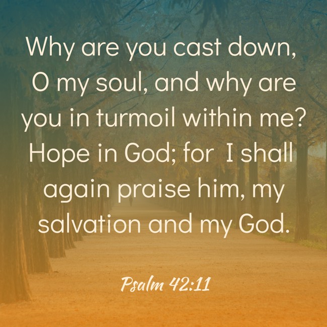 Why are you cast down, O my soul, and why are you in turmoil within me? Hope in God; for I shall again praise him, my salvation and my God. - Psalm 42:11