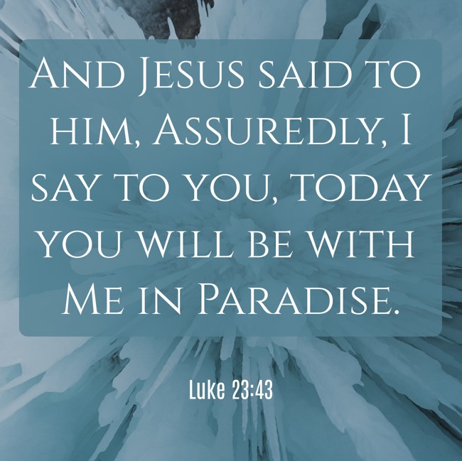 And Jesus said to him, Assuredly, I say to you, today you will be with Me in Paradise. - Luke 23:43