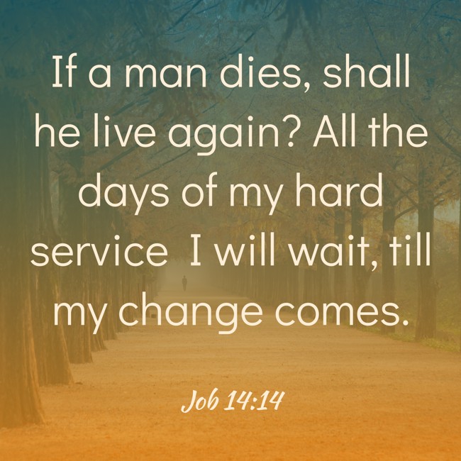 If a man dies, shall he live again? All the days of my hard service I will wait, till my change comes. - Job 14:14