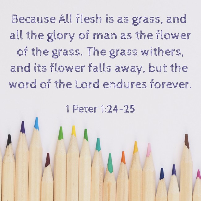 Because All flesh is as grass, and all the glory of man as the flower of the grass. The grass withers, and its flower falls away, but the word of the Lord endures forever. - 1 Peter 1:24-25
