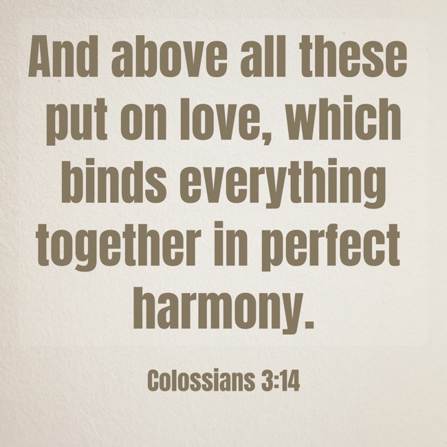 And above all these put on love, which binds everything together in perfect harmony. - Colossians 3:14