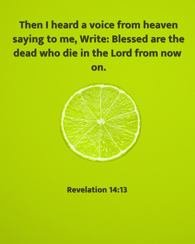 Then I heard a voice from heaven saying to me, Write: Blessed are the dead who die in the Lord from now on. - Revelation 14:13