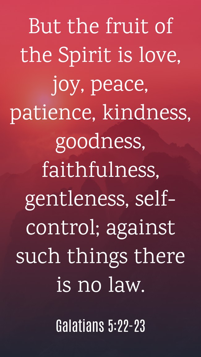 But the fruit of the Spirit is love, joy, peace, patience, kindness, goodness, faithfulness, gentleness, self-control; against such things there is no law. - Galatians 5:22-23