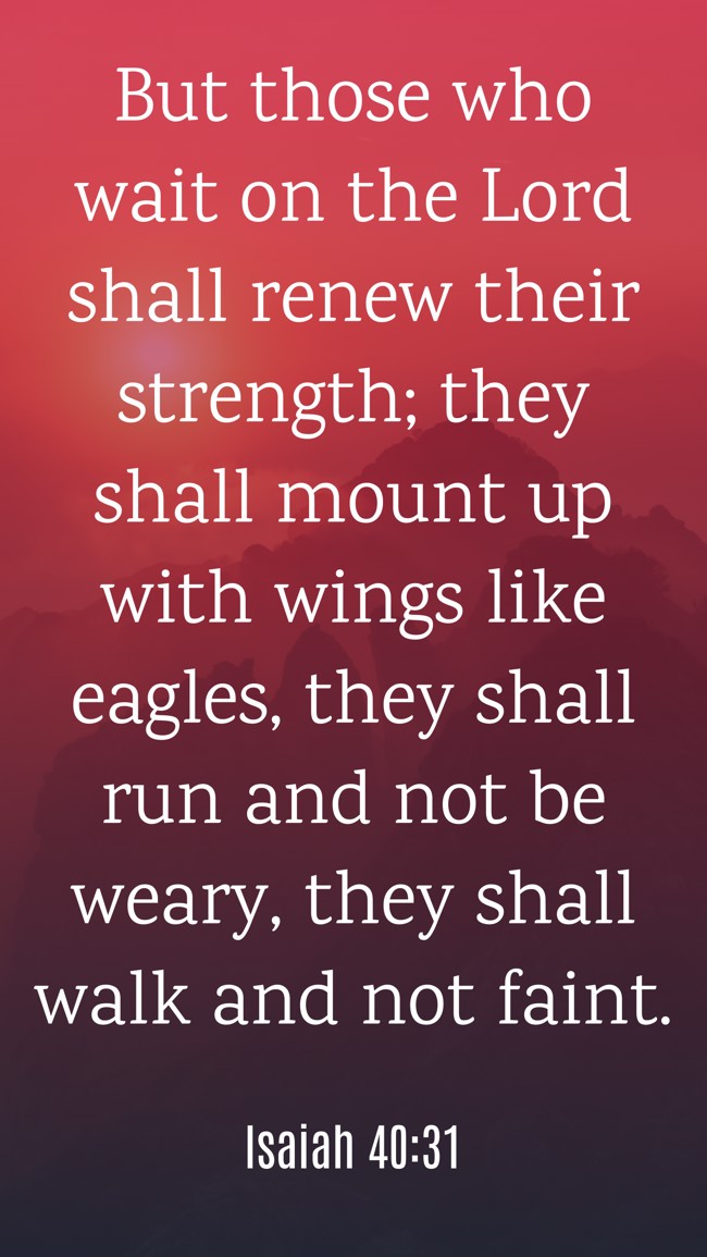 But those who wait on the Lord shall renew their strength; they shall mount up with wings like eagles, they shall run and not be weary, they shall walk and not faint. - Isaiah 40:31