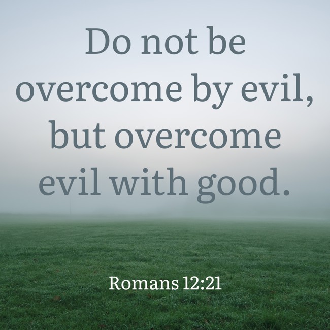 Do not be overcome by evil, but overcome evil with good. - Romans 12:21