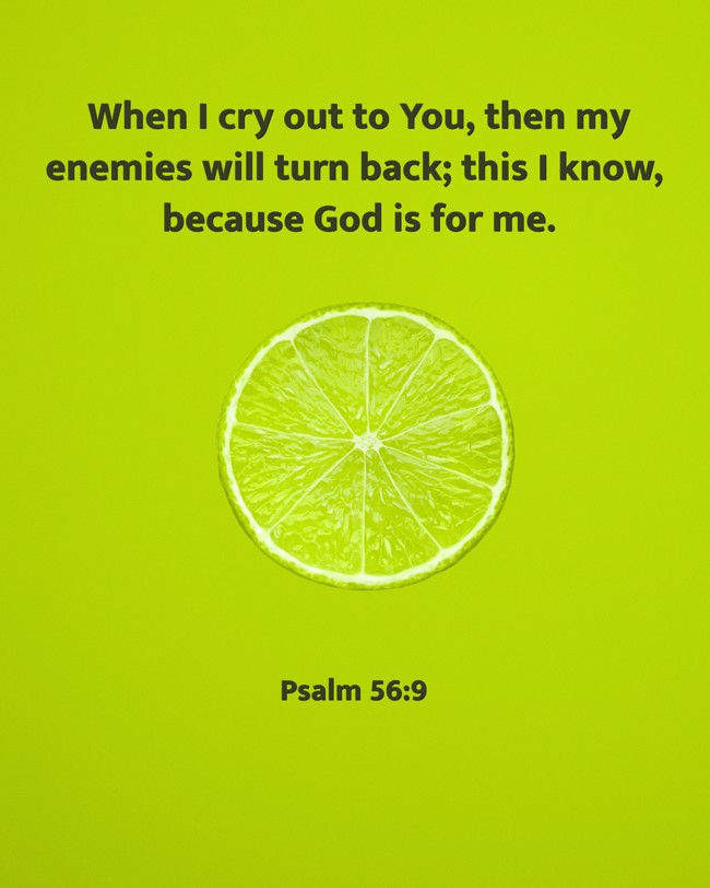 When I cry out to You, then my enemies will turn back; this I know, because God is for me. - Psalm 56:9