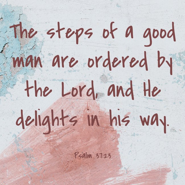 The steps of a good man are ordered by the Lord, and He delights in his way.
- Psalm 37:23