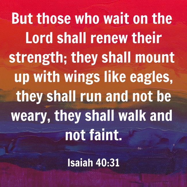 But those who wait on the Lord shall renew their strength; they shall mount up with wings like eagles, they shall run and not be weary, they shall walk and not faint.
- Isaiah 40:31