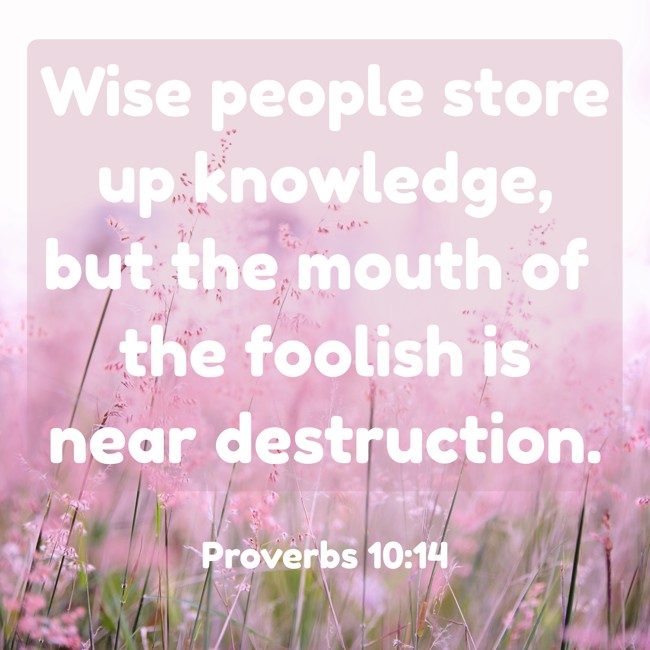 Wise people store up knowledge, but the mouth of the foolish is near destruction. - Proverbs 10:14