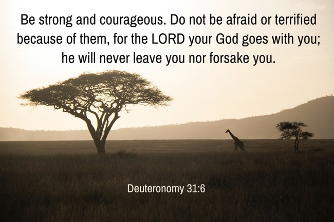  Be strong and courageous. Do not be afraid or terrified because of them, for the LORD your God goes with you; he will never leave you nor forsake you.   - Deuteronomy 31:6 