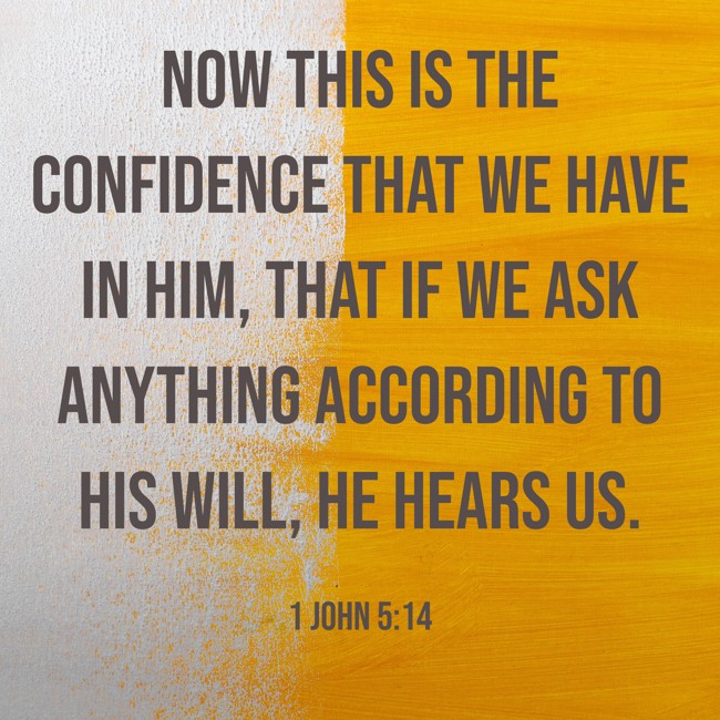 Now this is the confidence that we have in Him, that if we ask anything according to His will, He hears us. - 1 John 5:14