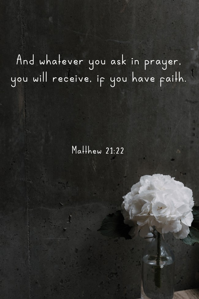 And whatever you ask in prayer, you will receive, if you have faith. - Matthew 21:22
