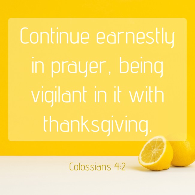 Continue earnestly in prayer, being vigilant in it with thanksgiving. - Colossians 4:2