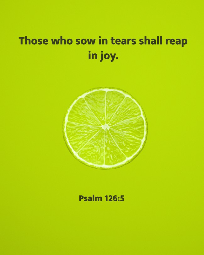 Those who sow in tears shall reap in joy. - Psalm 126:5