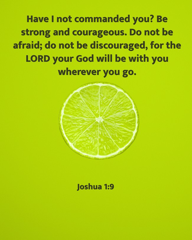 Have I not commanded you? Be strong and courageous. Do not be afraid; do not be discouraged, for the LORD your God will be with you wherever you go. - Joshua 1:9