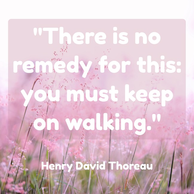 There is no remedy for this: you must keep on walking. - Henry David Thoreau