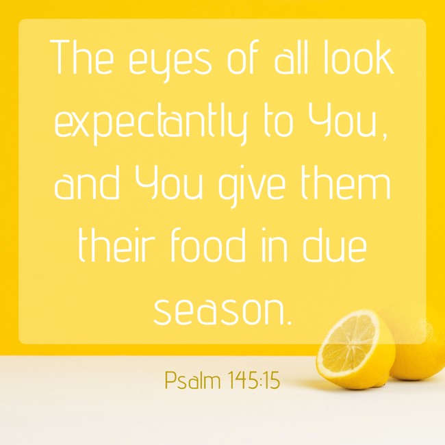 The eyes of all look expectantly to You, and You give them their food in due season. - Psalm 145:15