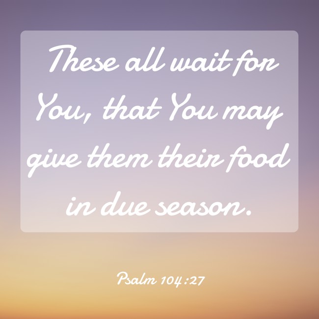 These all wait for You, that You may give them their food in due season. - Psalm 104:27