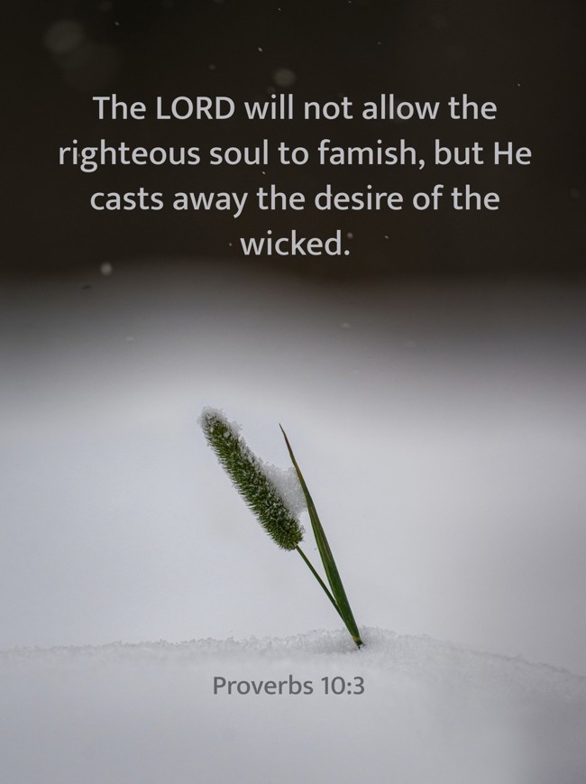 The LORD will not allow the righteous soul to famish, but He casts away the desire of the wicked. - Proverbs 10:3