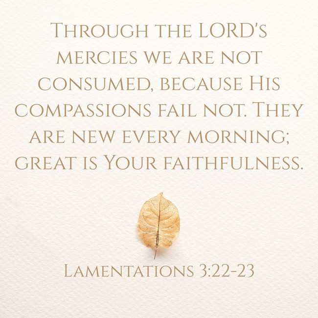 Through the LORD's mercies we are not consumed, because His compassions fail not. They are new every morning; great is Your faithfulness. - Lamentations 3:22-23