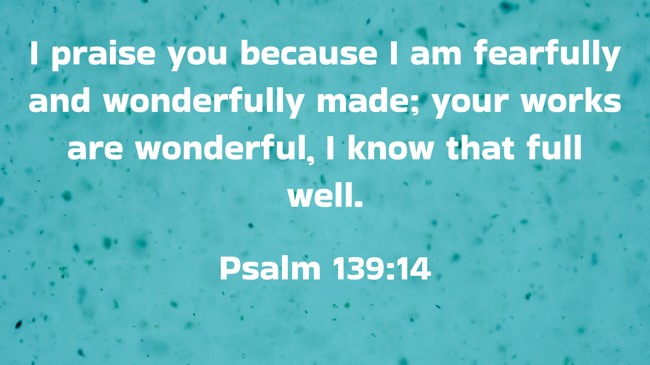 I praise you because I am fearfully and wonderfully made; your works are wonderful, I know that full well. - Psalm 139:14