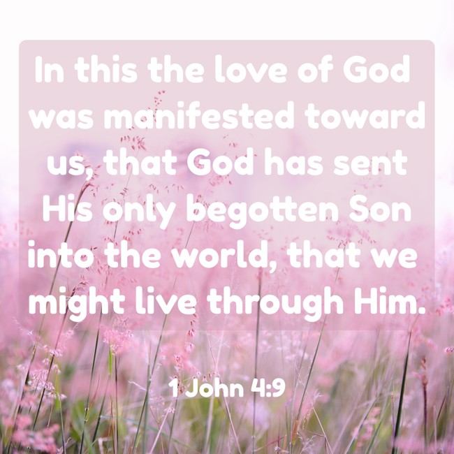 In this the love of God was manifested toward us, that God has sent His only begotten Son into the world, that we might live through Him. - 1 John 4:9