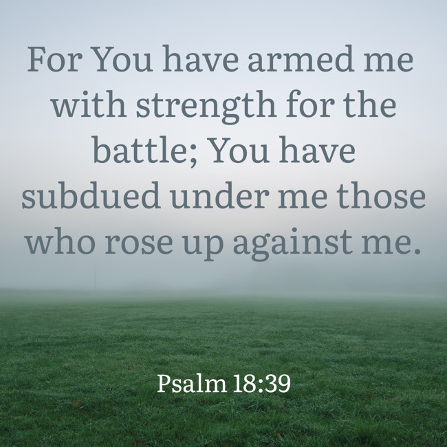 For You have armed me with strength for the battle; You have subdued under me those who rose up against me. - Psalm 18:39