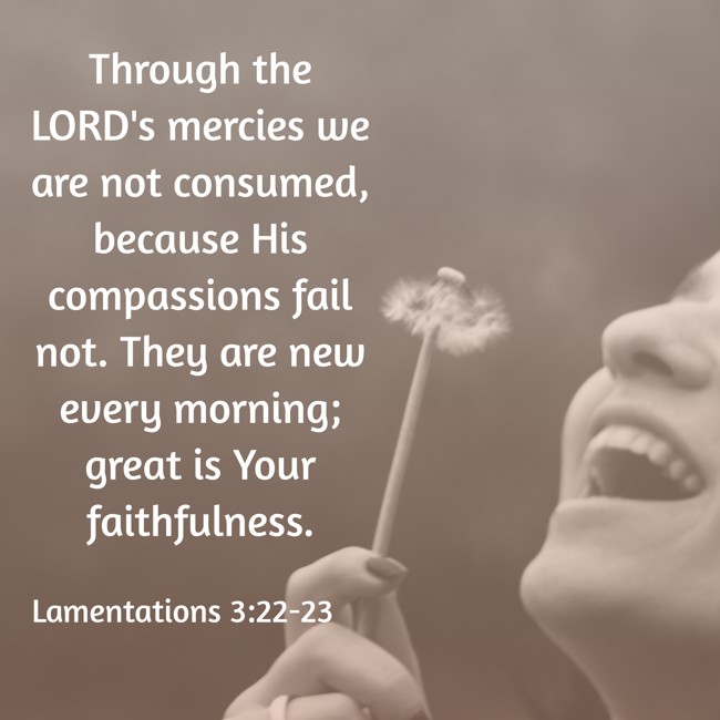 Through the LORD's mercies we are not consumed, because His compassions fail not. They are new every morning; great is Your faithfulness. - Lamentations 3:22-23