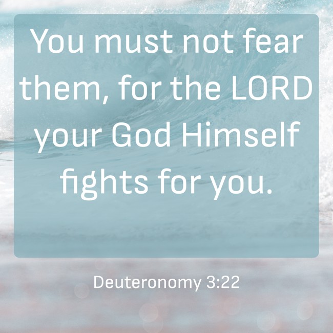 You must not fear them, for the LORD your God Himself fights for you. - Deuteronomy 3:22