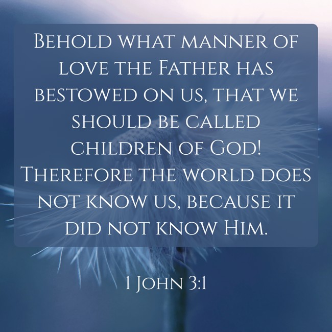 Behold what manner of love the Father has bestowed on us, that we should be called children of God! Therefore the world does not know us, because it did not know Him. - 1 John 3:1