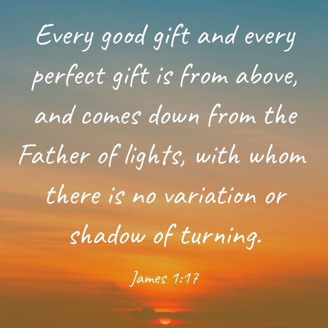 Every good gift and every perfect gift is from above, and comes down from the Father of lights, with whom there is no variation or shadow of turning. - James 1:17