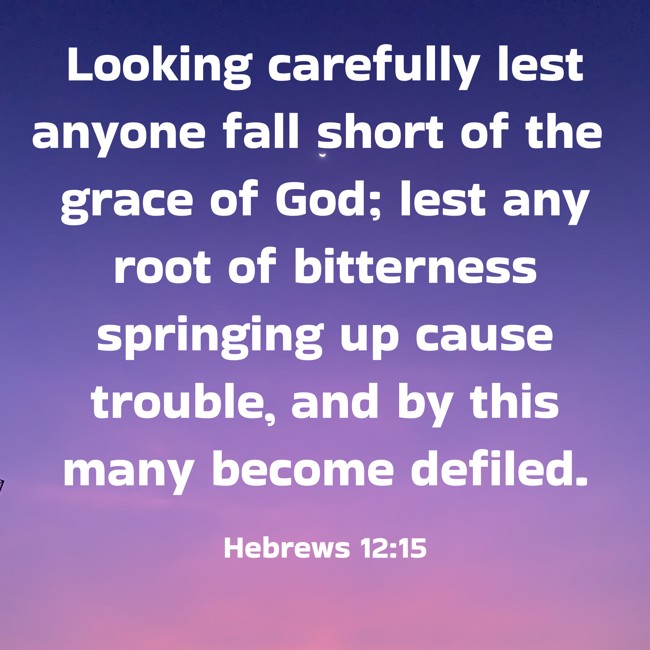 Looking carefully lest anyone fall short of the grace of God; lest any root of bitterness springing up cause trouble, and by this many become defiled. - Hebrews 12:15