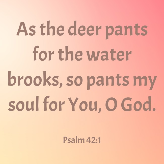 As the deer pants for the water brooks, so pants my soul for You, O God. - Psalm 42:1
