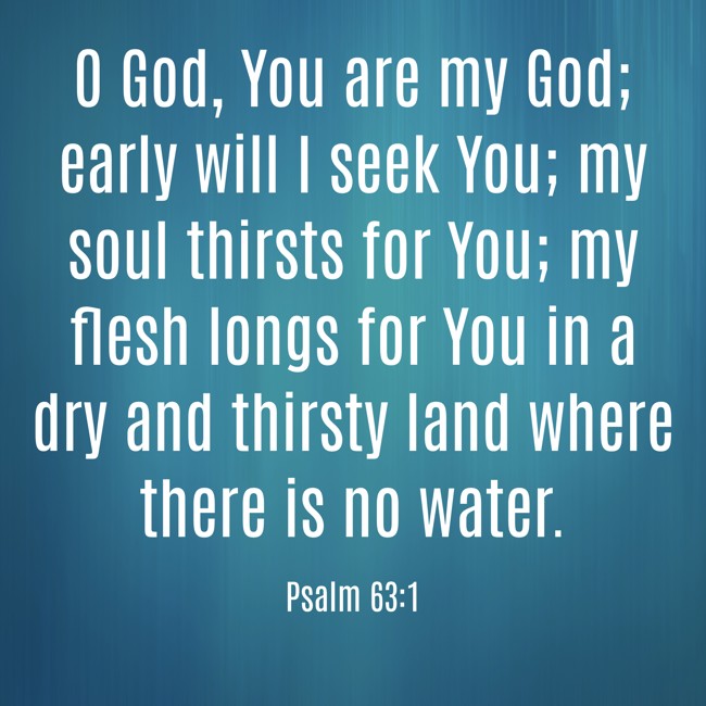 O God, You are my God; early will I seek You; my soul thirsts for You; my flesh longs for You in a dry and thirsty land where there is no water. - Psalm 63:1