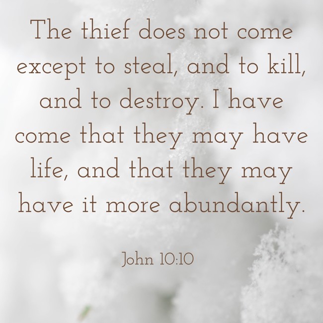 The thief does not come except to steal, and to kill, and to destroy. I have come that they may have life, and that they may have it more abundantly. - John 10:10