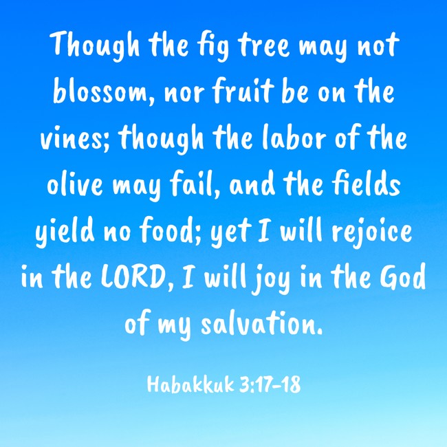 Though the fig tree may not blossom, nor fruit be on the vines; though the labor of the olive may fail, and the fields yield no food; yet I will rejoice in the LORD, I will joy in the God of my salvation. - Habakkuk 3:17-18