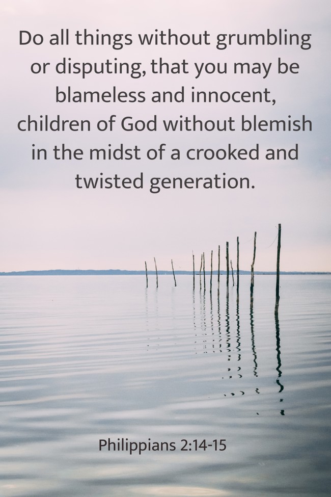 Do all things without grumbling or disputing, that you may be blameless and innocent, children of God without blemish in the midst of a crooked and twisted generation. - Philippians 2:14-15