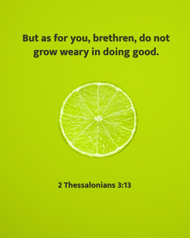 But as for you, brethren, do not grow weary in doing good. - 2 Thessalonians 3:13