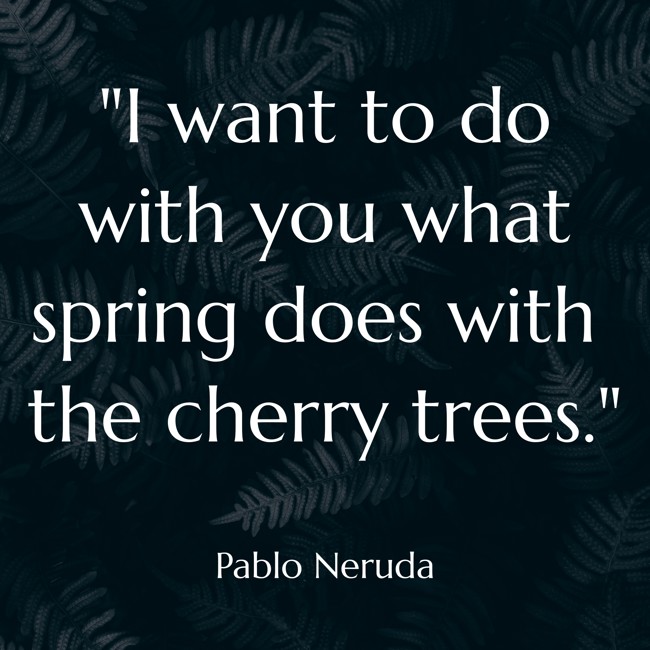 I want to do with you what spring does with the cherry trees. - Pablo Neruda