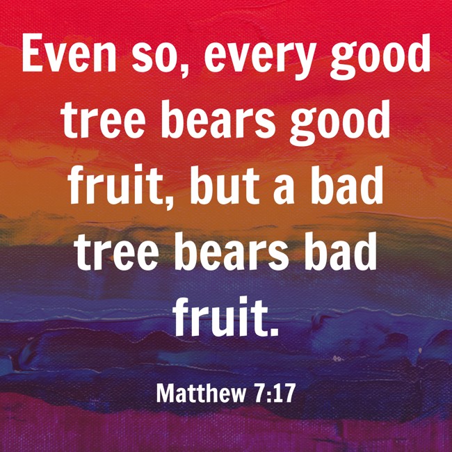 Even so, every good tree bears good fruit, but a bad tree bears bad fruit. - Matthew 7:17