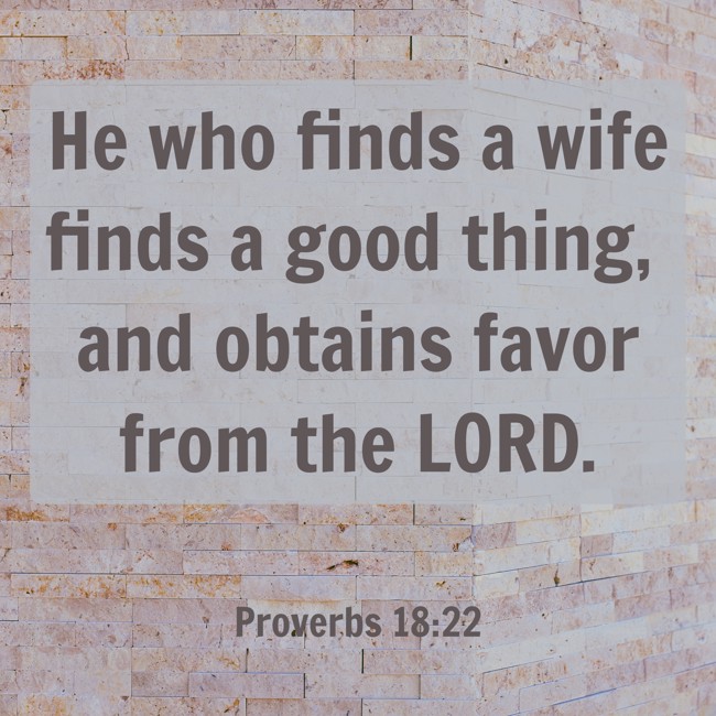  He who finds a wife finds a good thing, and obtains favor from the LORD.   - Proverbs 18:22 