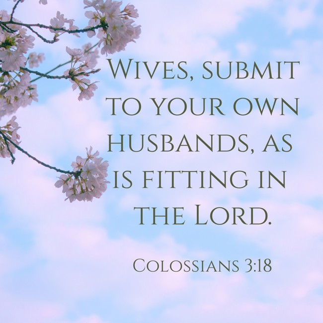  Wives, submit to your own husbands, as is fitting in the Lord.   - Colossians 3:18 