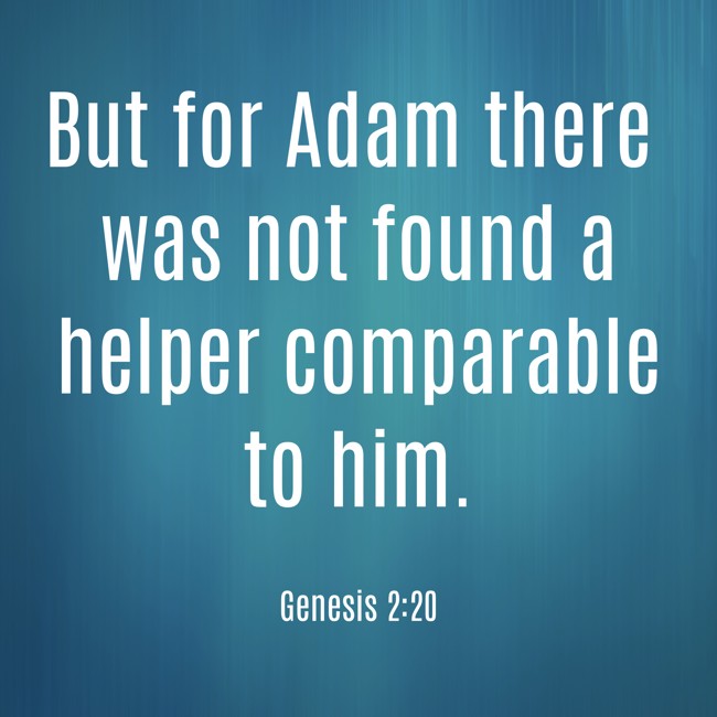  But for Adam there was not found a helper comparable to him.   - Genesis 2:20 