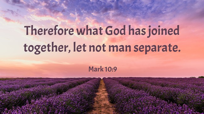  Therefore what God has joined together, let not man separate.   - Mark 10:9 