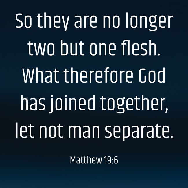 So they are no longer two but one flesh. What therefore God has joined together, let not man separate. - Matthew 19:6
