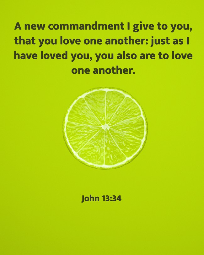 A new commandment I give to you, that you love one another: just as I have loved you, you also are to love one another. - John 13:34