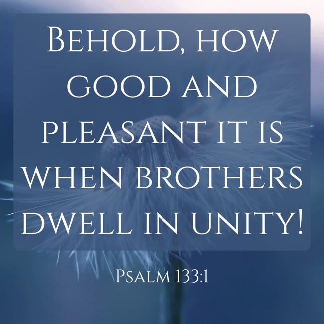 Behold, how good and pleasant it is when brothers dwell in unity! - Psalm 133:1