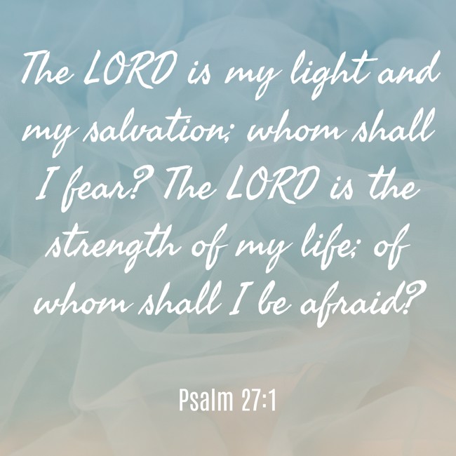 The LORD is my light and my salvation; whom shall I fear? The LORD is the strength of my life; of whom shall I be afraid? - Psalm 27:1